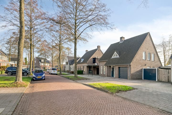 Foto 72 van Vogelwikke 12