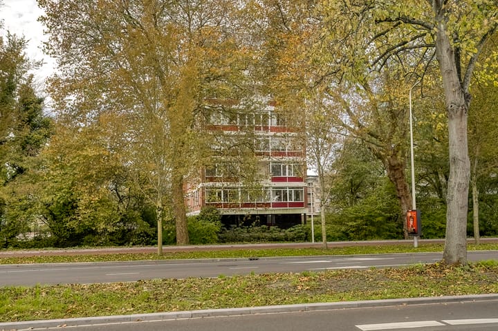 Foto 8 van Kornalijnhorst 390