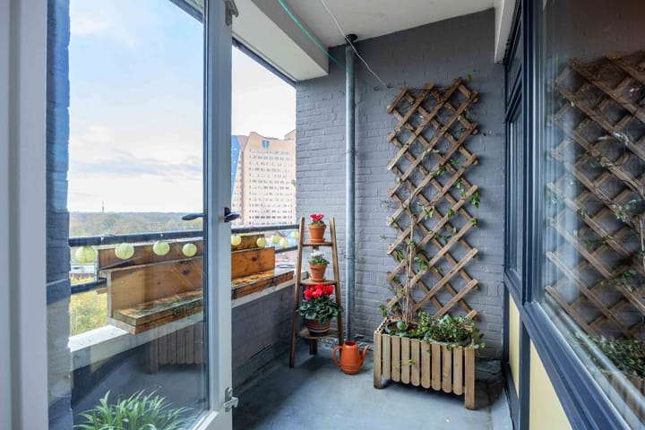 Photo 4 of Donderslaan 144