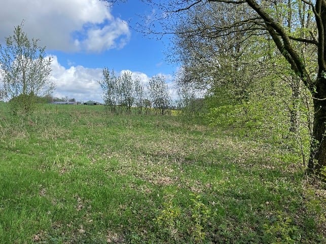 Bekijk foto 3 van Stoepertweg