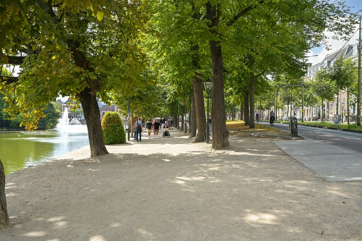 Photo 35 of Lange Voorhout 100