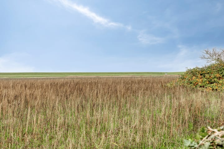 Foto 37 van Walsoordensestraat 17