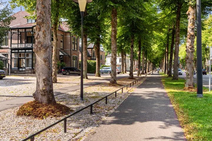 Photo 31 of Loolaan 41-56