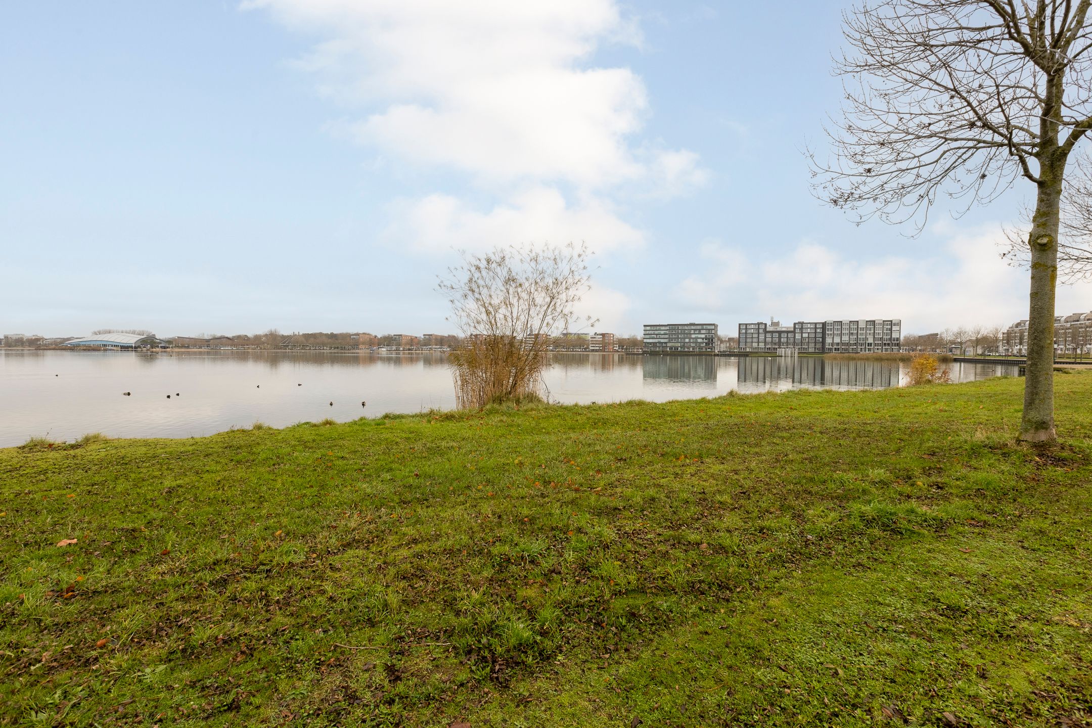 Foto 42 van Haringstraat 15