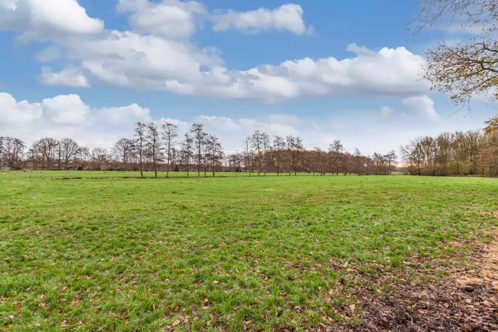 Photo 10 of Bûtenom 10