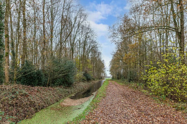 Photo 46 of Bûtenom 10