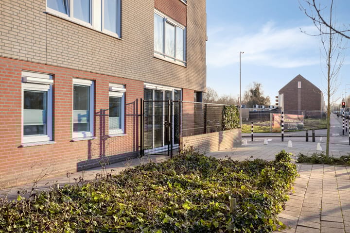 Foto 5 van Nassaustate 2