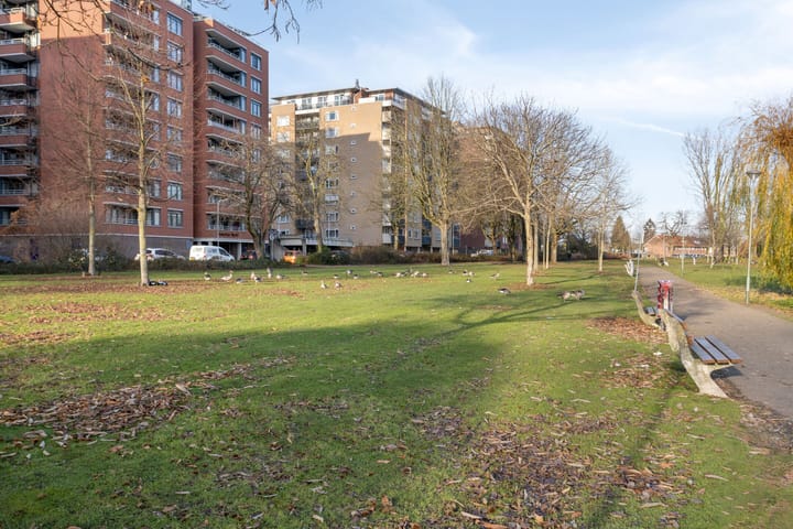 Foto 33 van Nassaustate 2