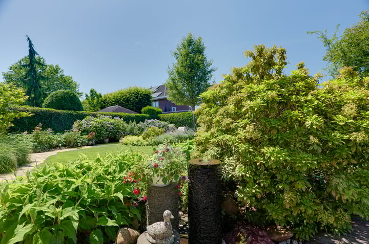 Photo 48 of Asserwijk 21