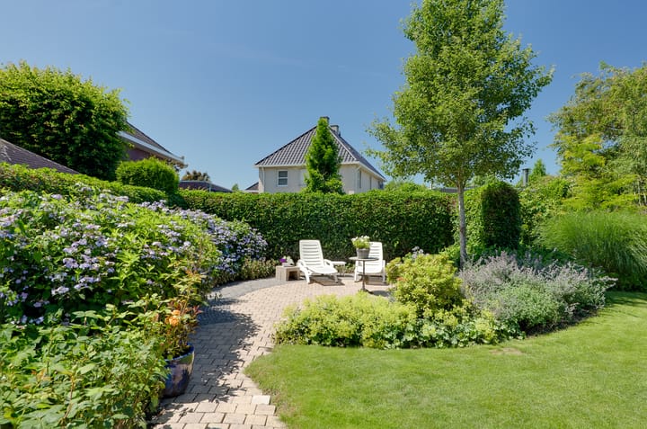 Photo 49 of Asserwijk 21