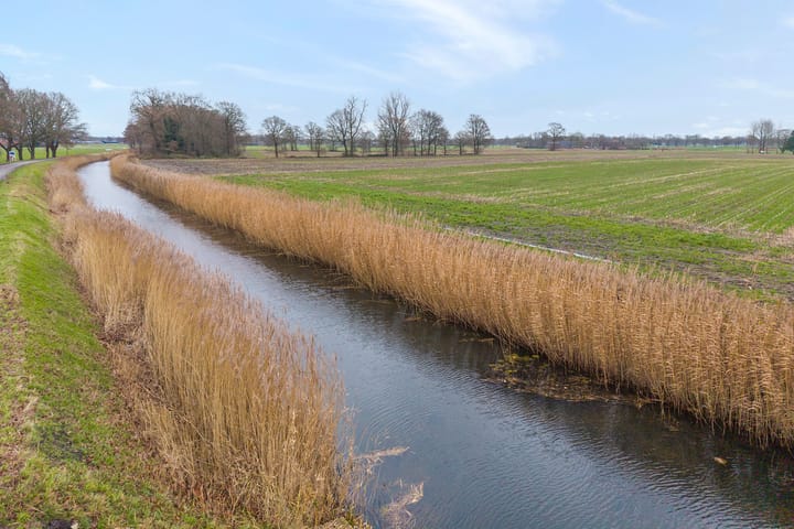 Foto 10 van Velduil 18