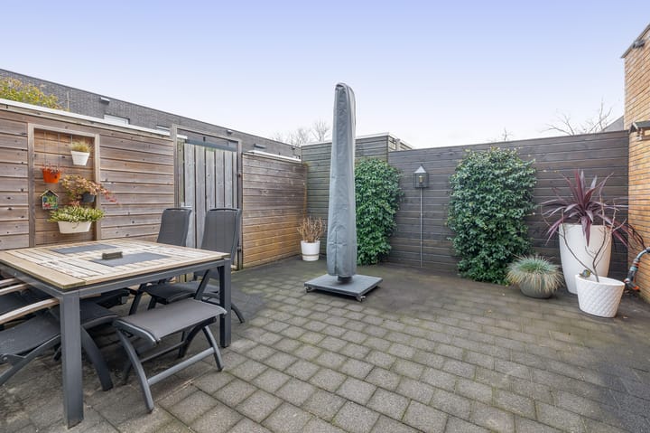 Foto 4 van Poolster 75