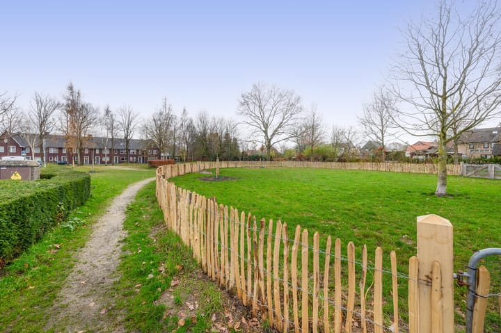 Foto 34 van Poolster 75