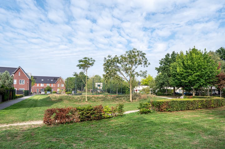 Foto 35 van Poolster 75