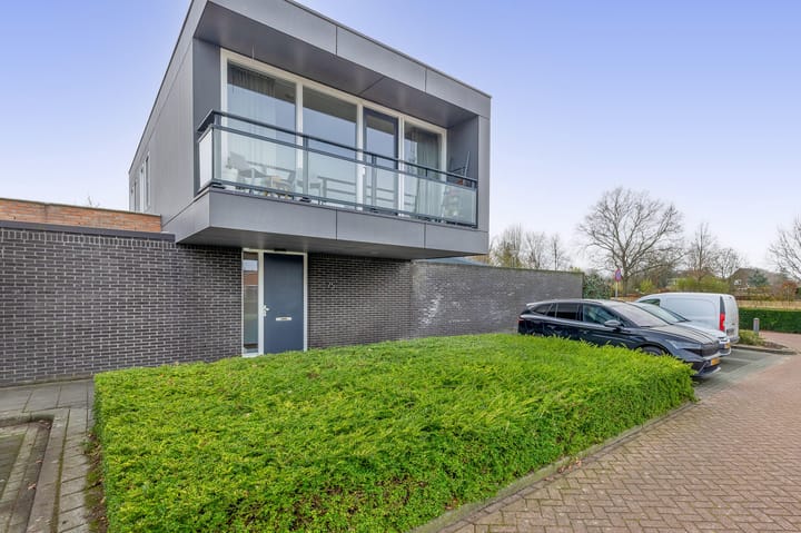 Foto 39 van Poolster 75