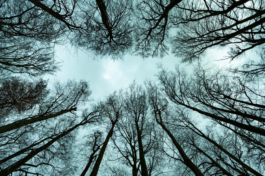 Foto 68 van Parallelweg 16