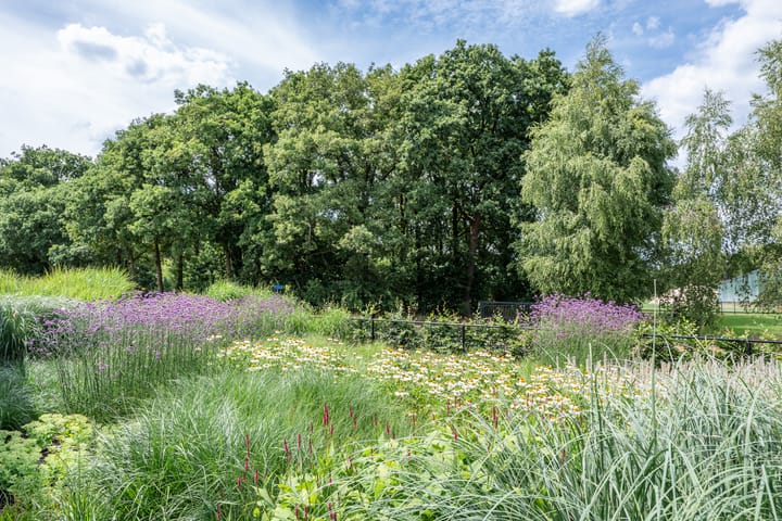 Foto 13 van Bulterweg 7