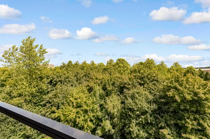 Foto 20 van Olivier B. Bommelhof 16