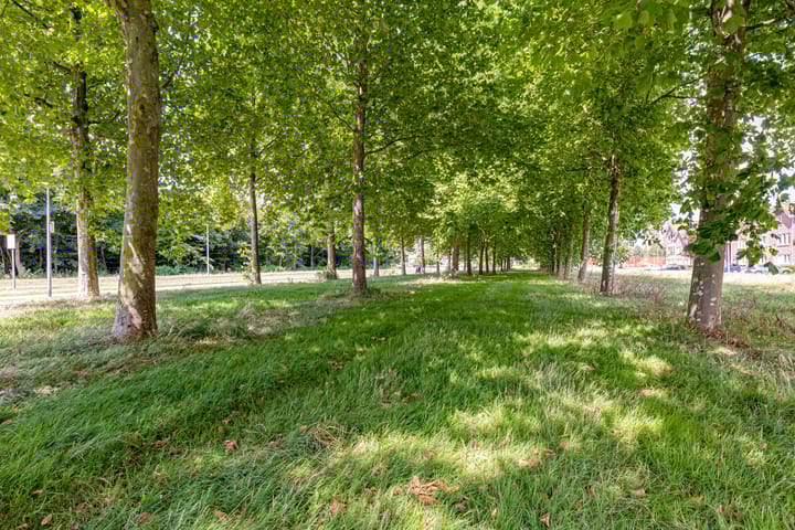 Foto 33 van Olivier B. Bommelhof 16