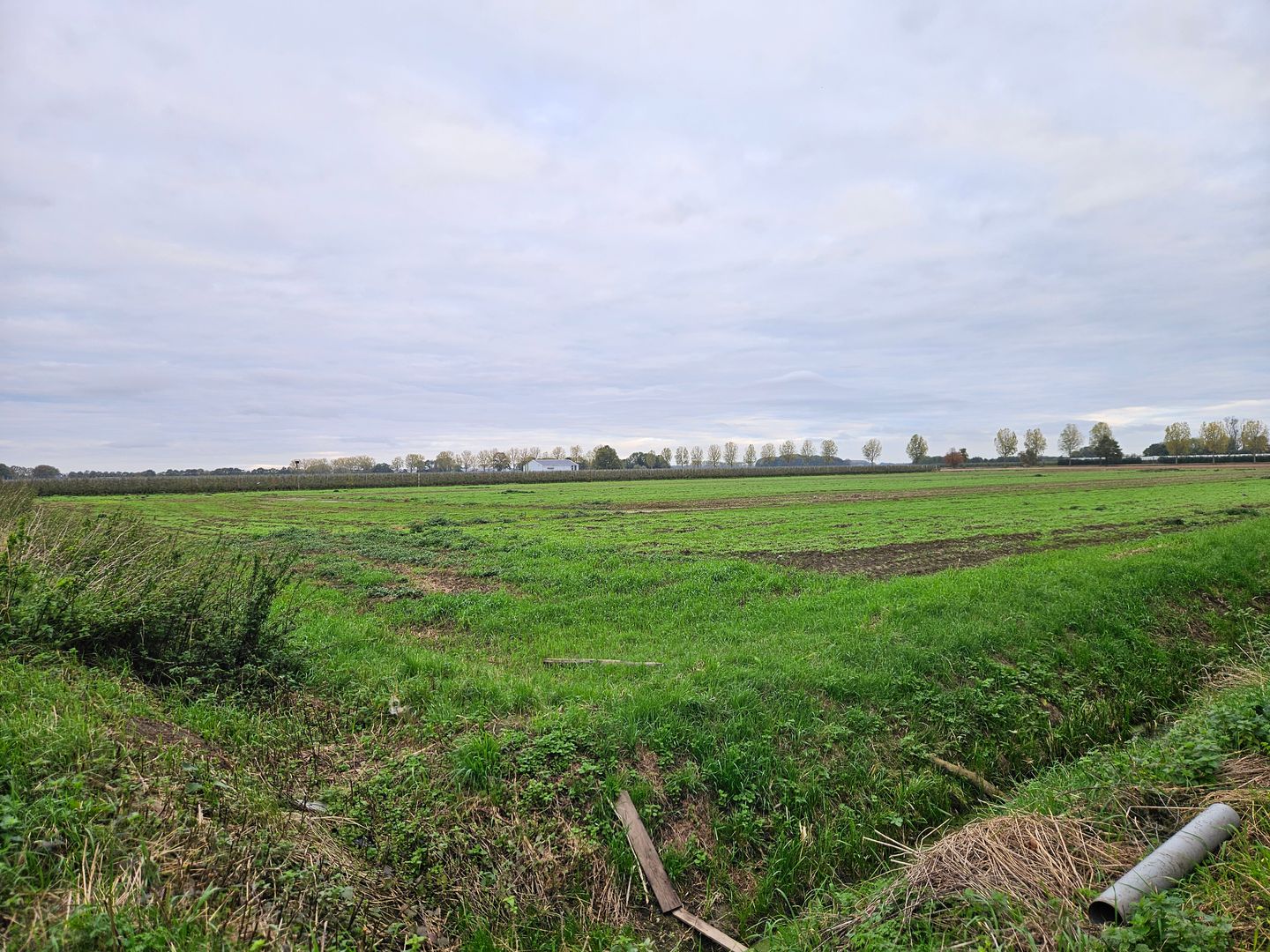 View photo 1 of Percelen achter Maasdijk