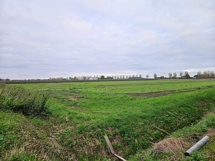 Percelen achter Maasdijk, Batenburg