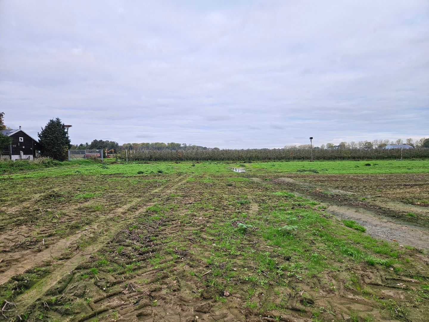 View photo 5 of Percelen achter Maasdijk