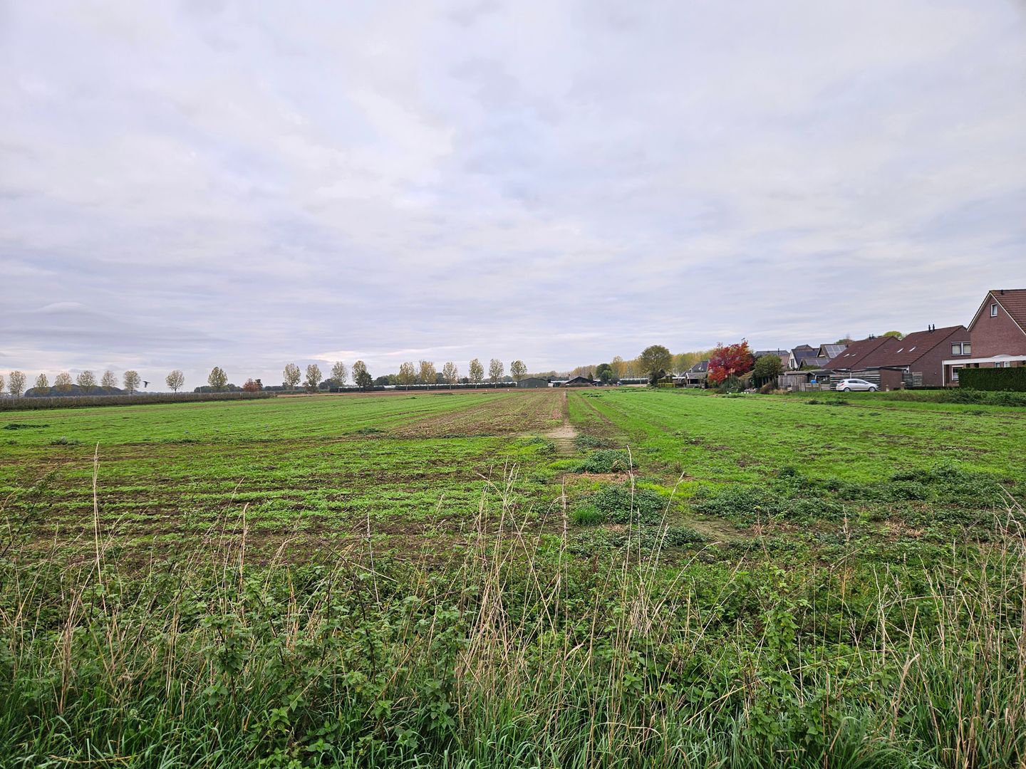 View photo 3 of Percelen achter Maasdijk