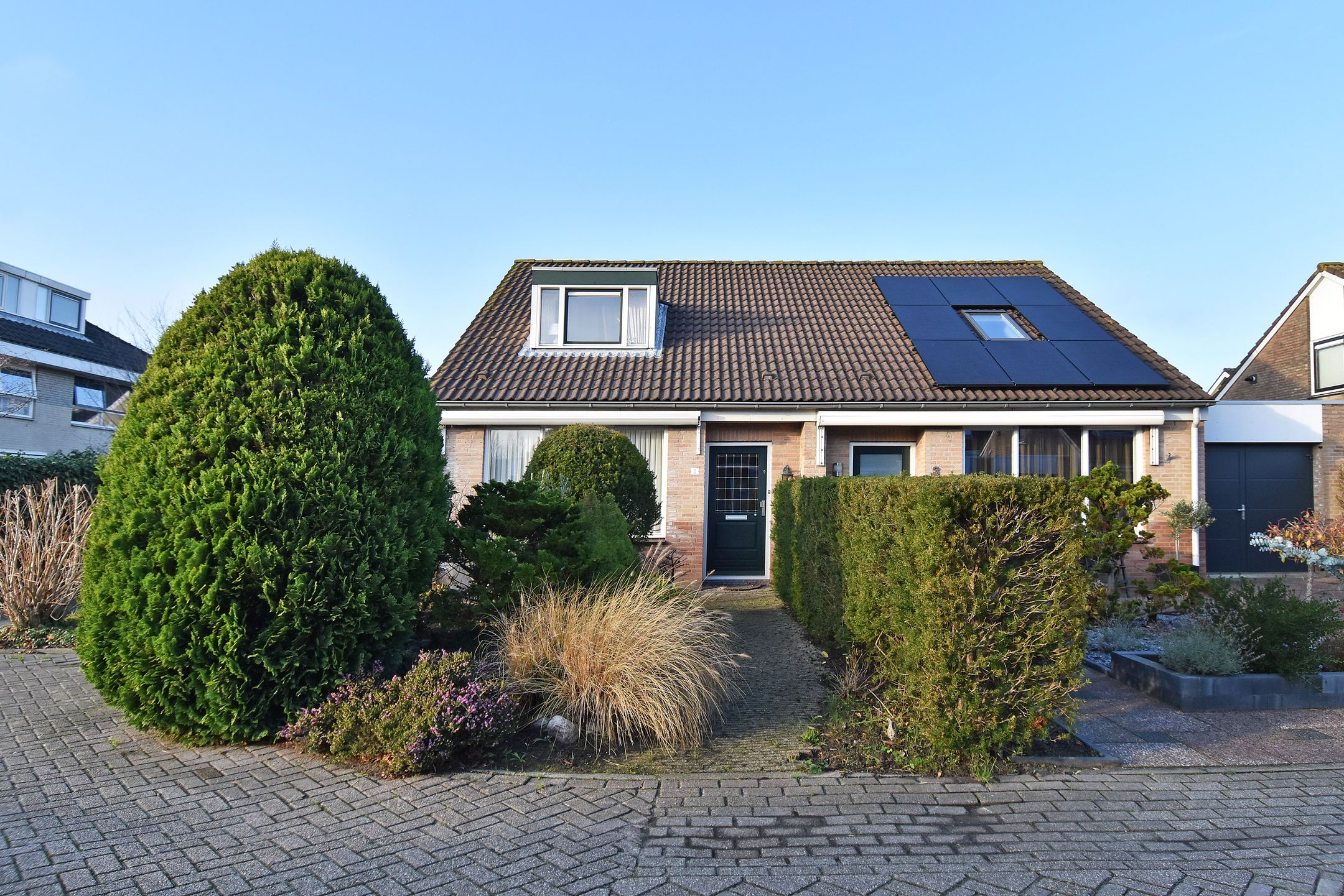 Foto 6 van Herfsttijloos 1