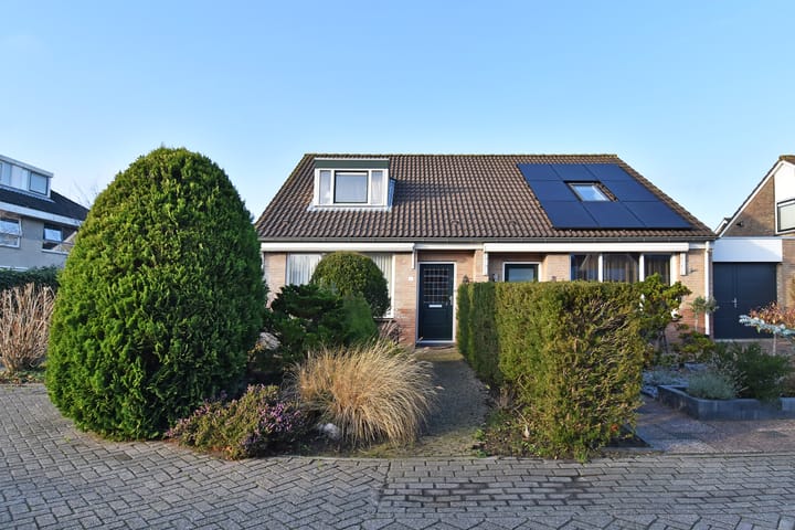 Photo 6 of Herfsttijloos 1