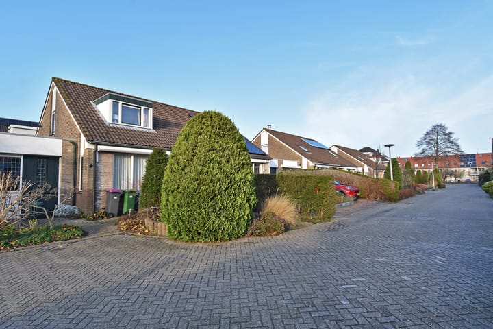 Photo 37 of Herfsttijloos 1