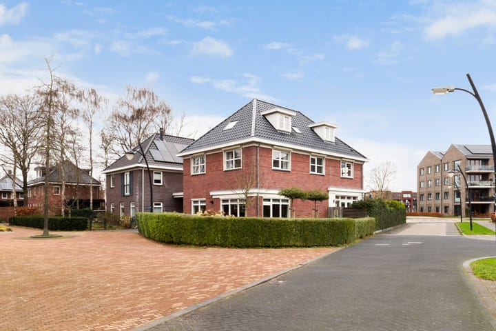 Foto 6 van Damespolder 6