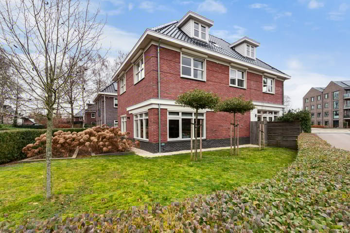 Foto 7 van Damespolder 6