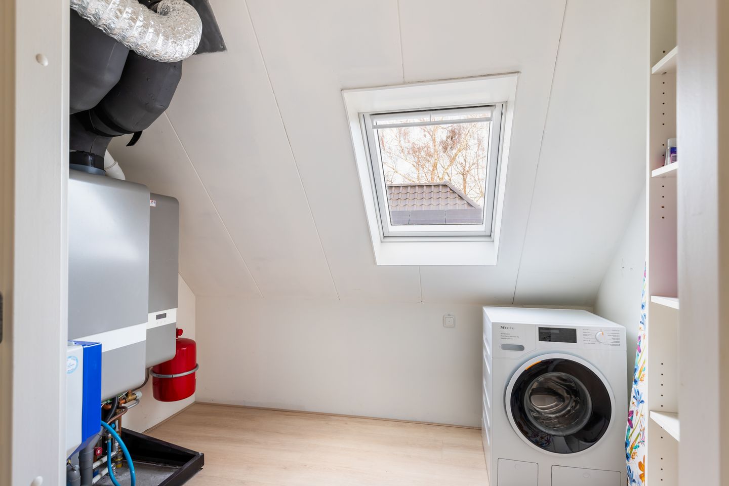 Foto 55 van Damespolder 6