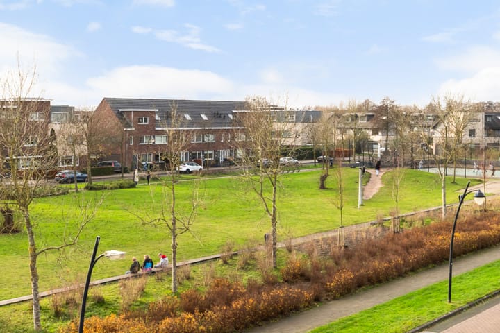 Foto 56 van Damespolder 6