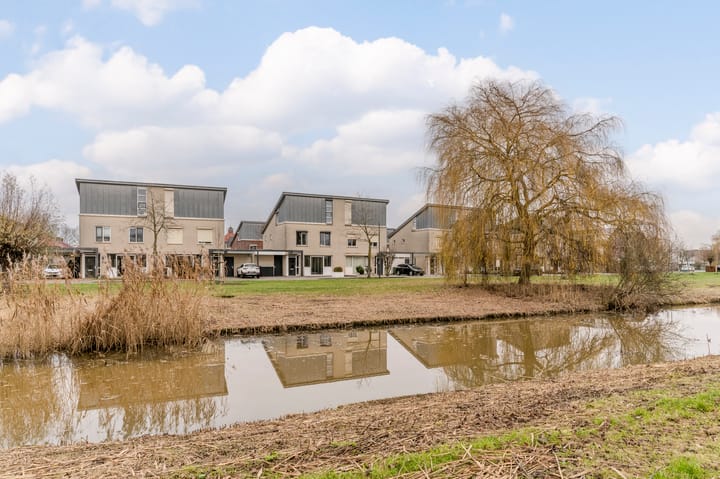 Foto 8 van Visven 309