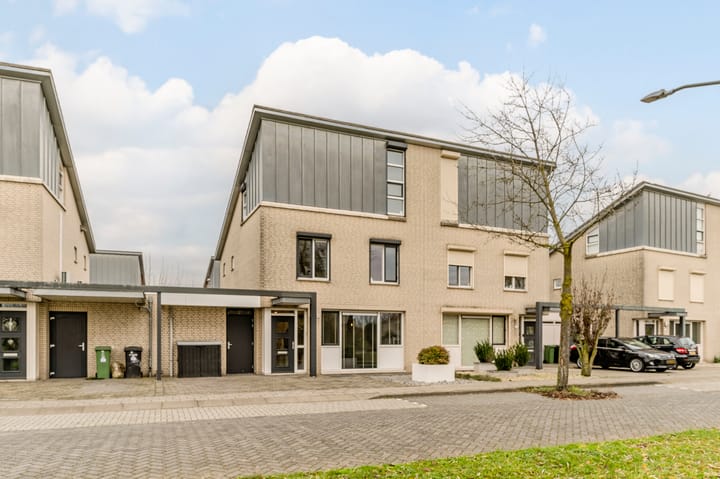 Foto 10 van Visven 309