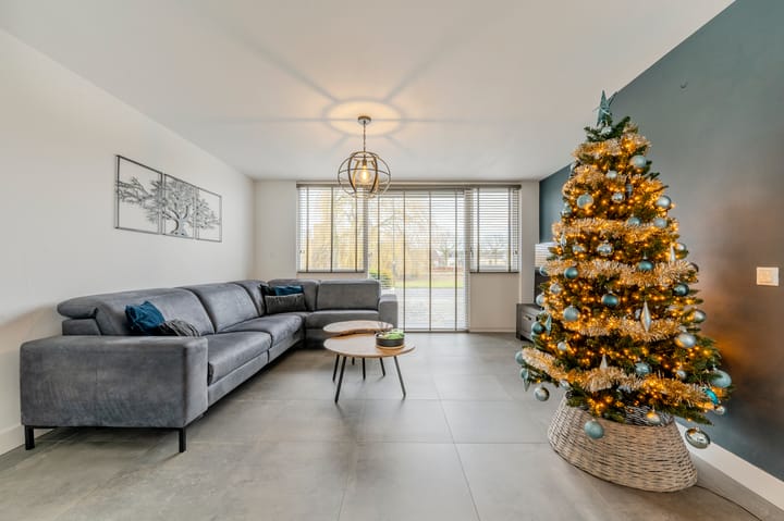 Foto 13 van Visven 309