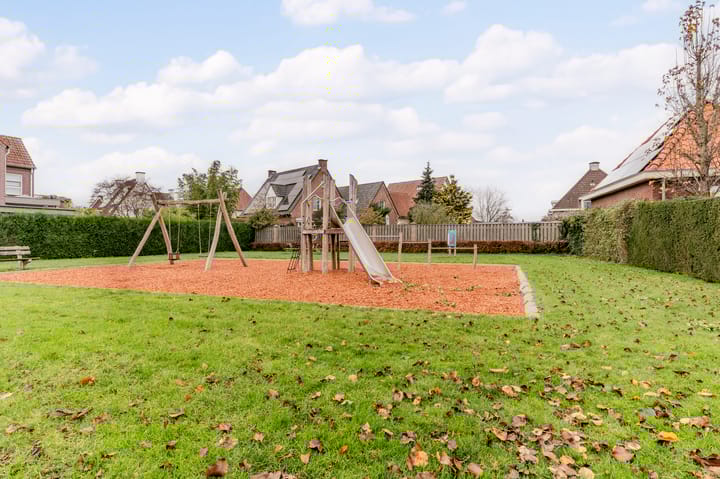 Foto 62 van Visven 309