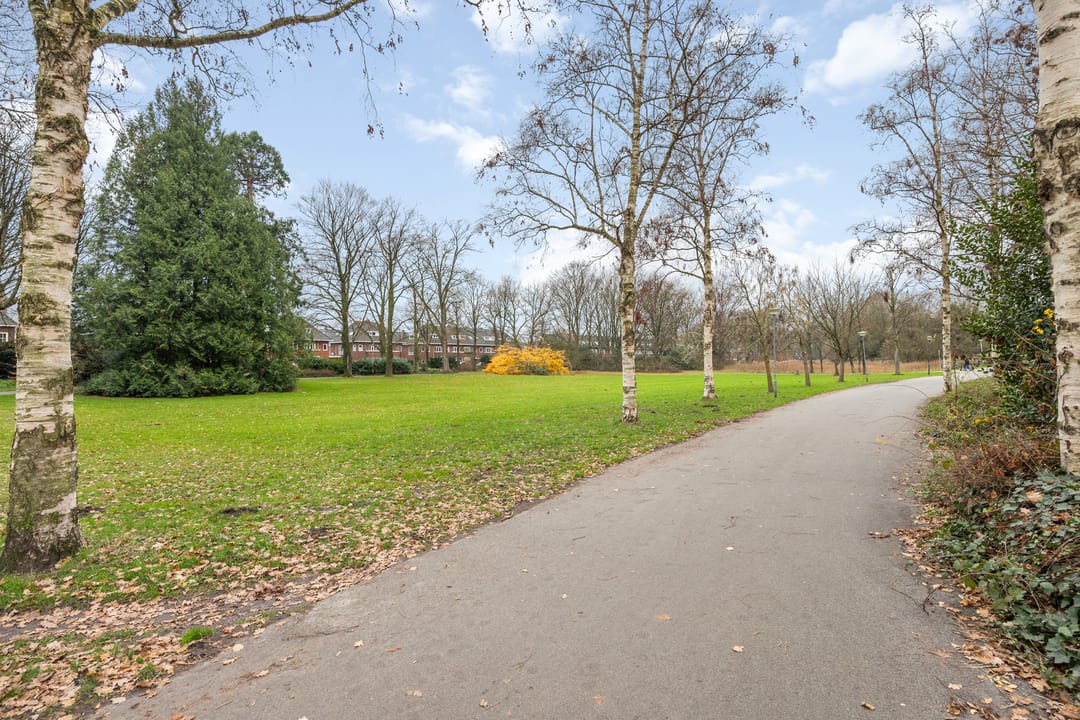 Foto 67 van Irenestraat 26