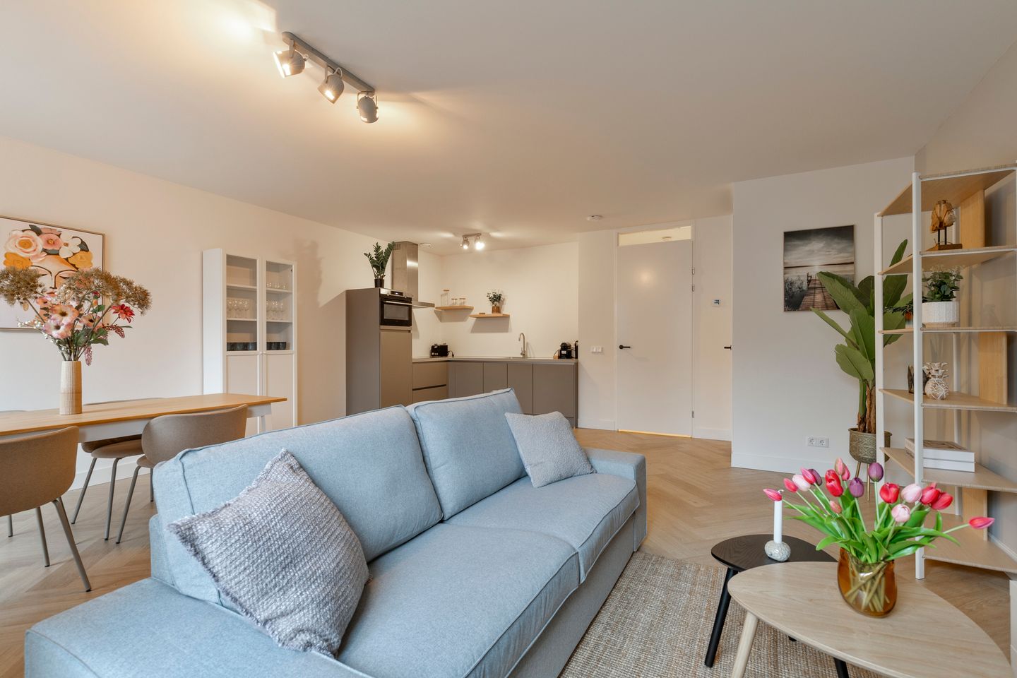 Appartement Willem de Zwijgerstraat 8-B — foto 1
