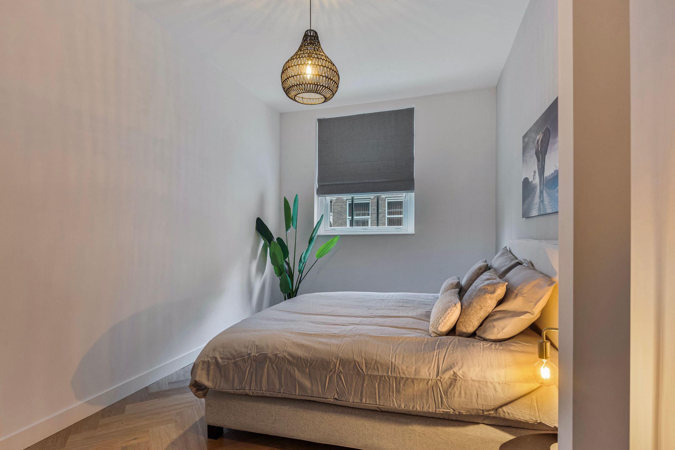 Foto 21 van Willem de Zwijgerstraat 8-C