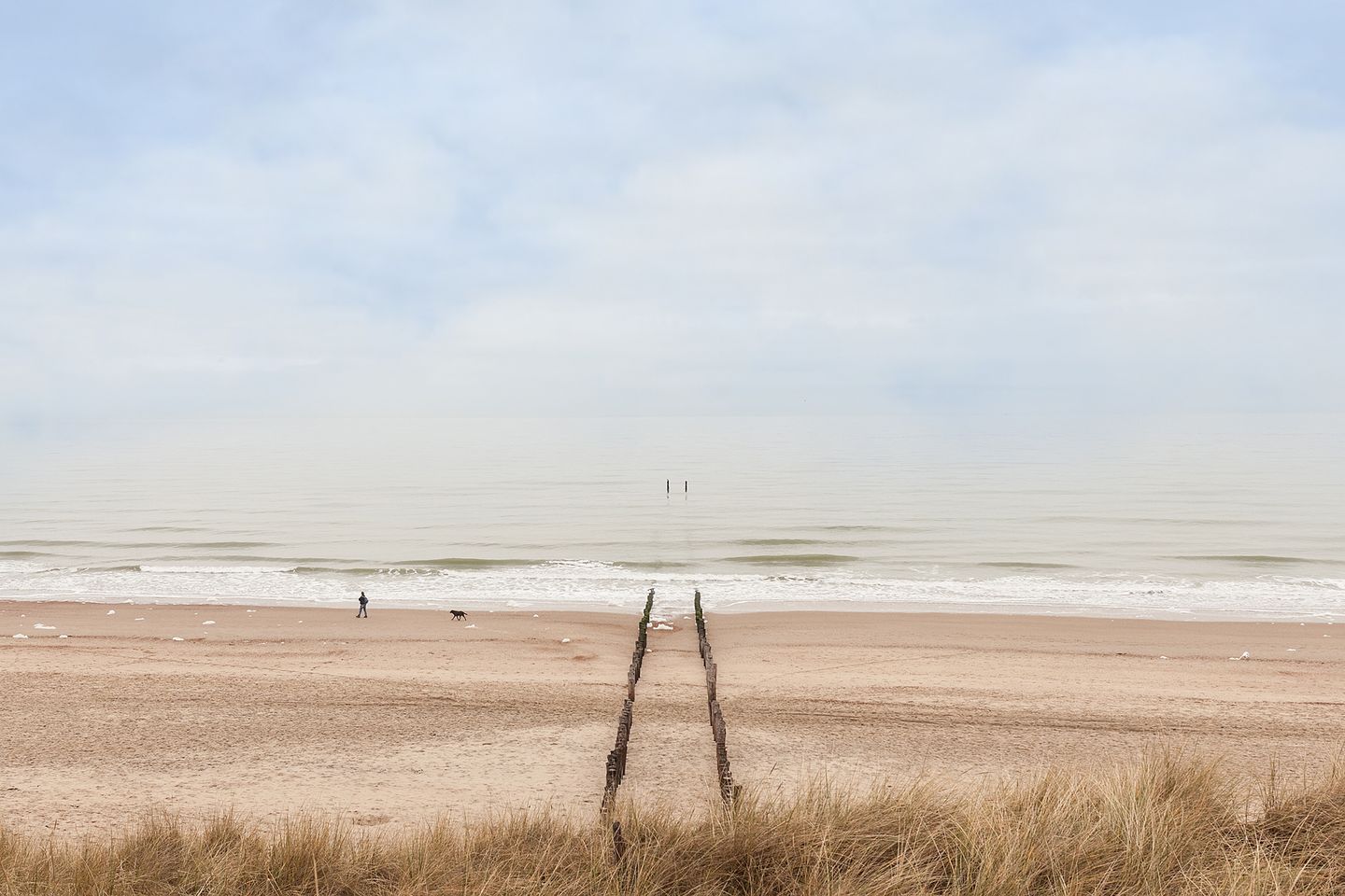 Photo 29 of Eb en Vloed 52