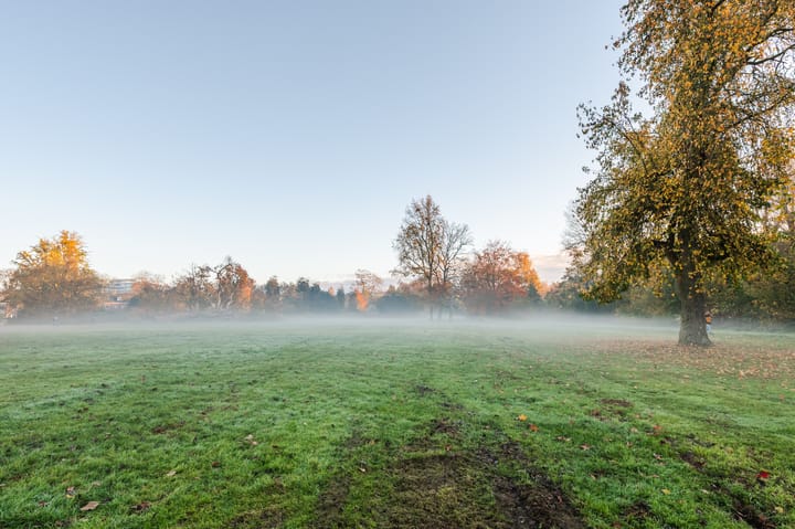 Foto 47 van Hoogstraat 185-37