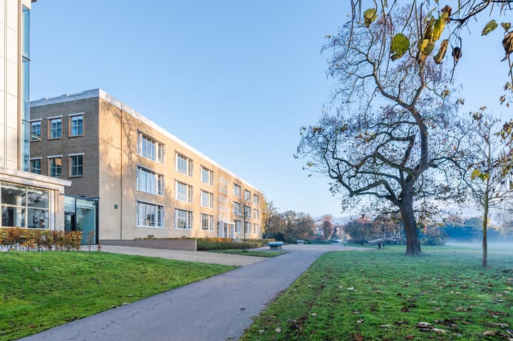 Foto 48 van Hoogstraat 185-37