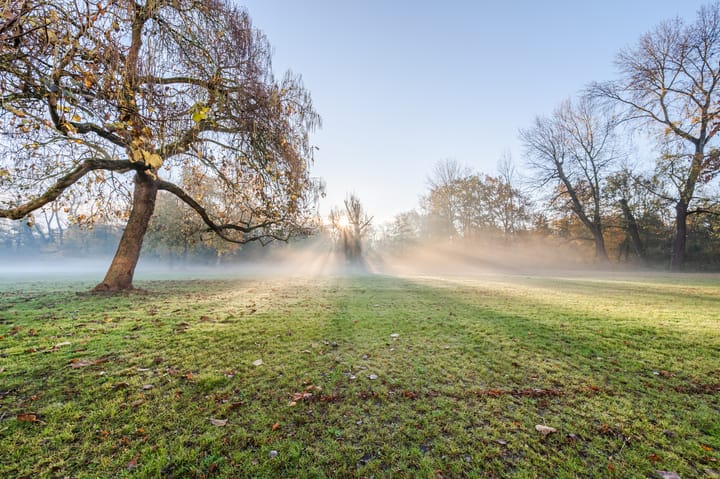 Foto 49 van Hoogstraat 185-37