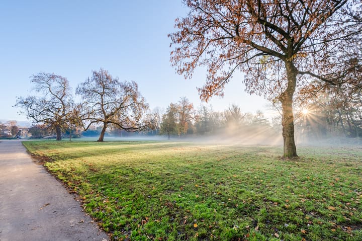 Foto 58 van Hoogstraat 185-37