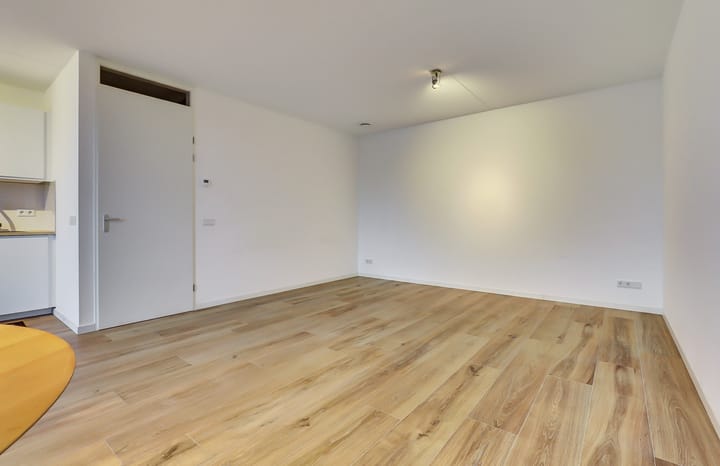 Foto 4 van Maasschriksel 155