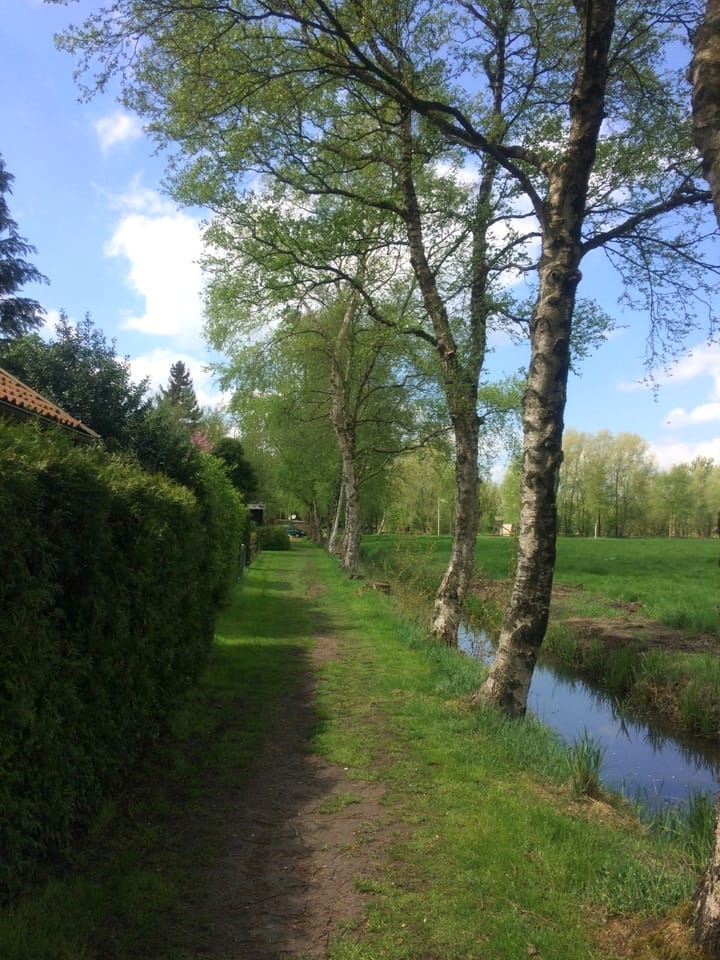 Photo 9 of Matsloot 3