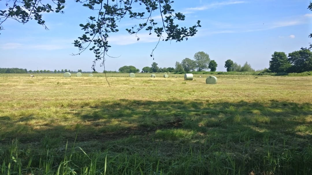 Foto 16 van Matsloot 3