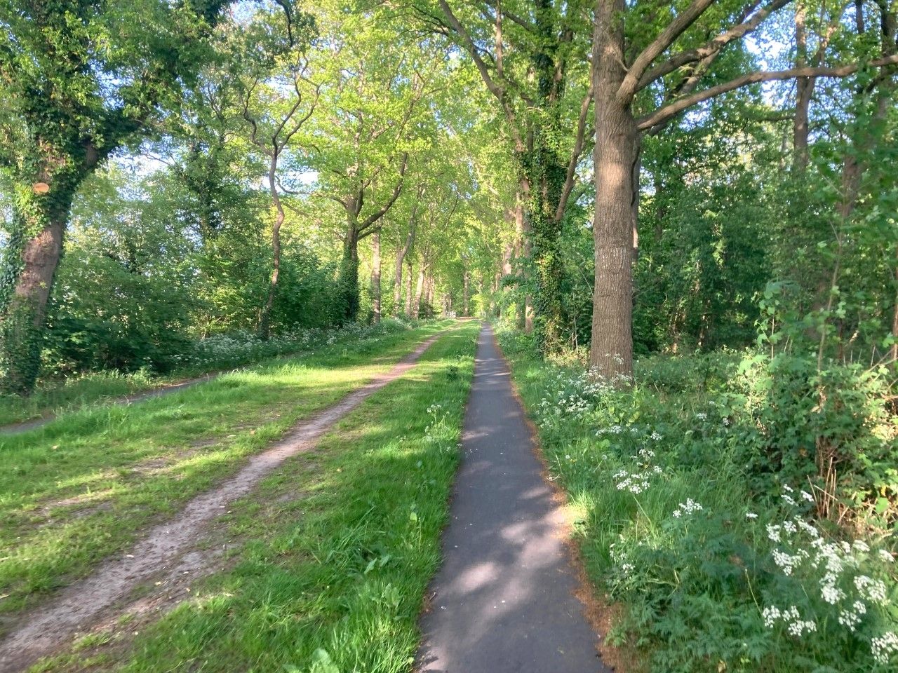 Foto 18 van Matsloot 3